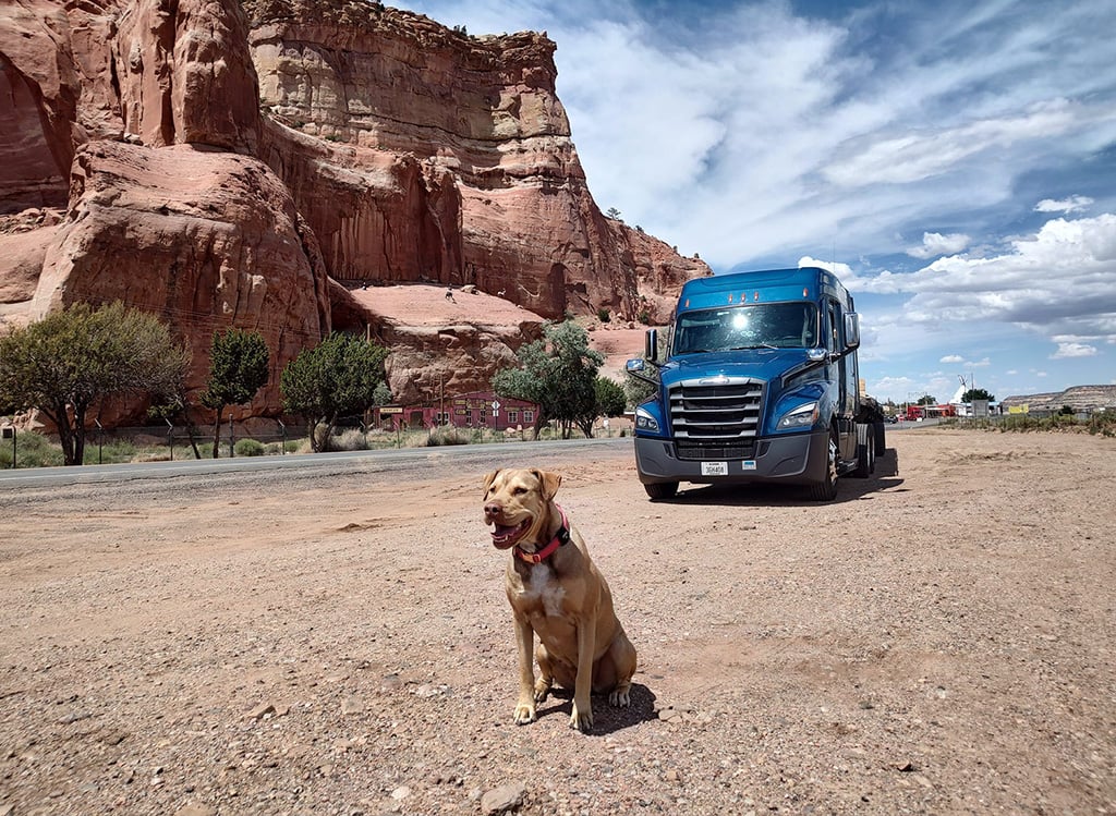 Melton driver's dog sitting with a Melton truck and cliffs in the background
